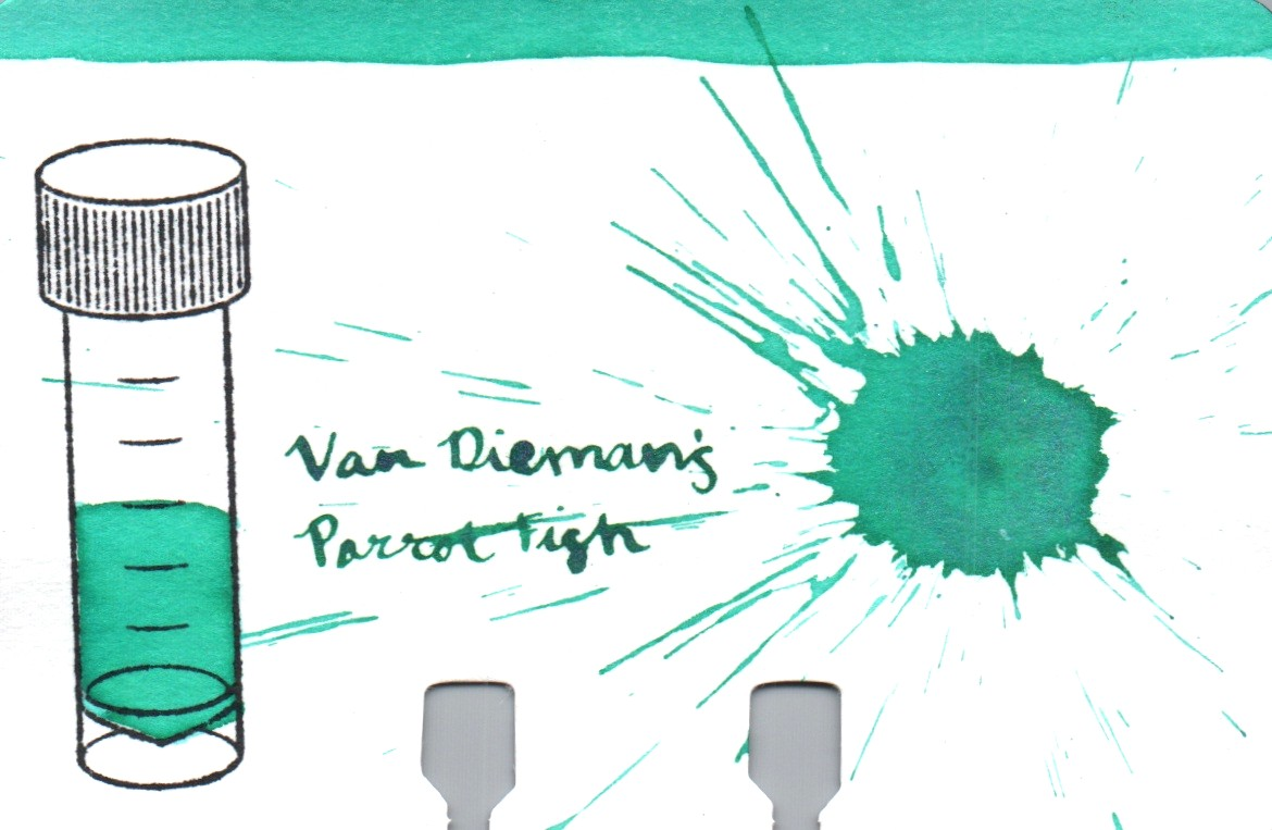 An ink swatch of Van Dieman's – Parrot Fish